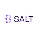 Salt Security API Protection Platform