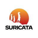 Suricata